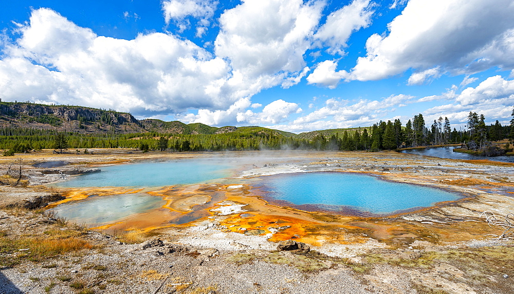 Black Opal Pool, Hot Spring, Yellow Algae and Mineral Deposits, Biscuit Basin, Yellowstone National Park, Wyoming, USA, North America