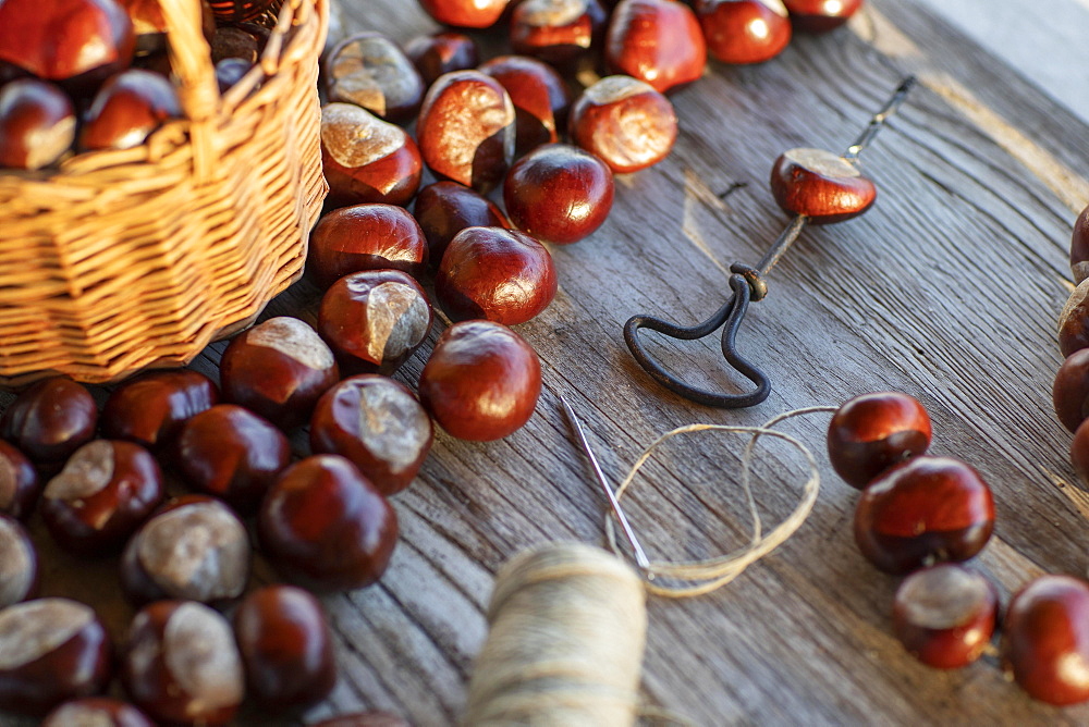 Chestnut string with seeds of the common sweet buckeye (Aesculus flava) in front of basket with collected chestnuts on craft table with drill, hemp string and needle