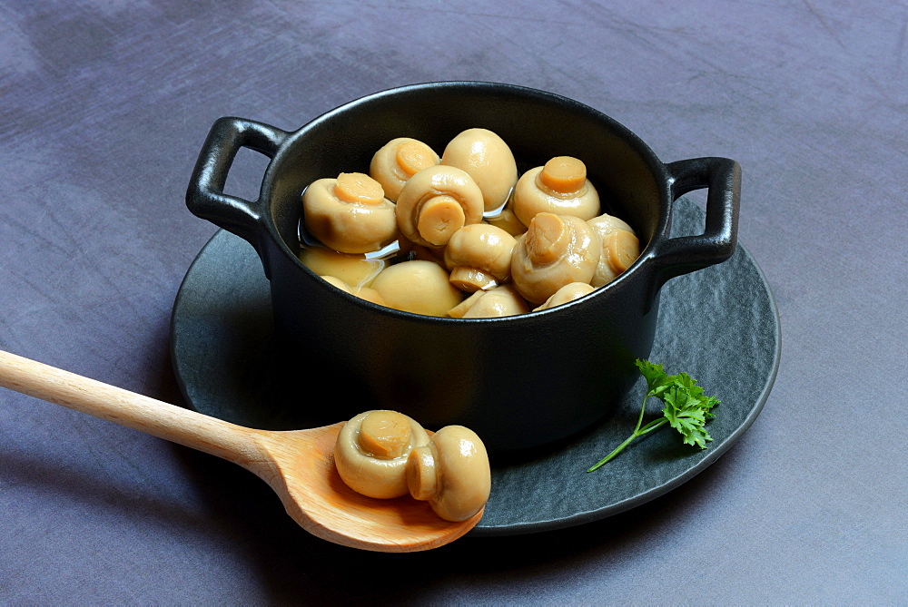 Canned common mushrooms (Agaricus bisporus) in pot