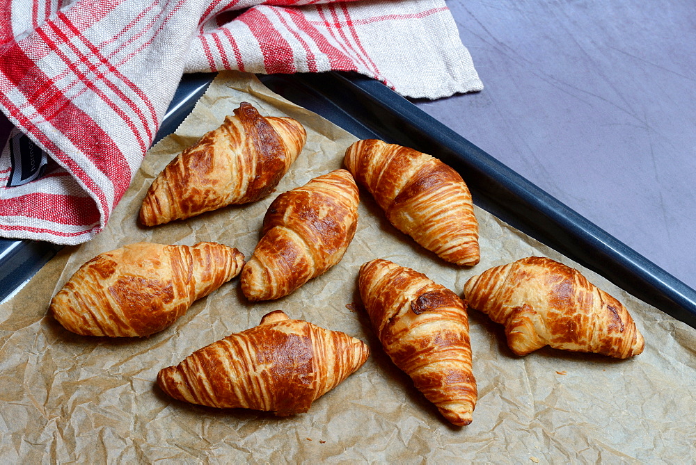 Several croissants on baking tray, croissants