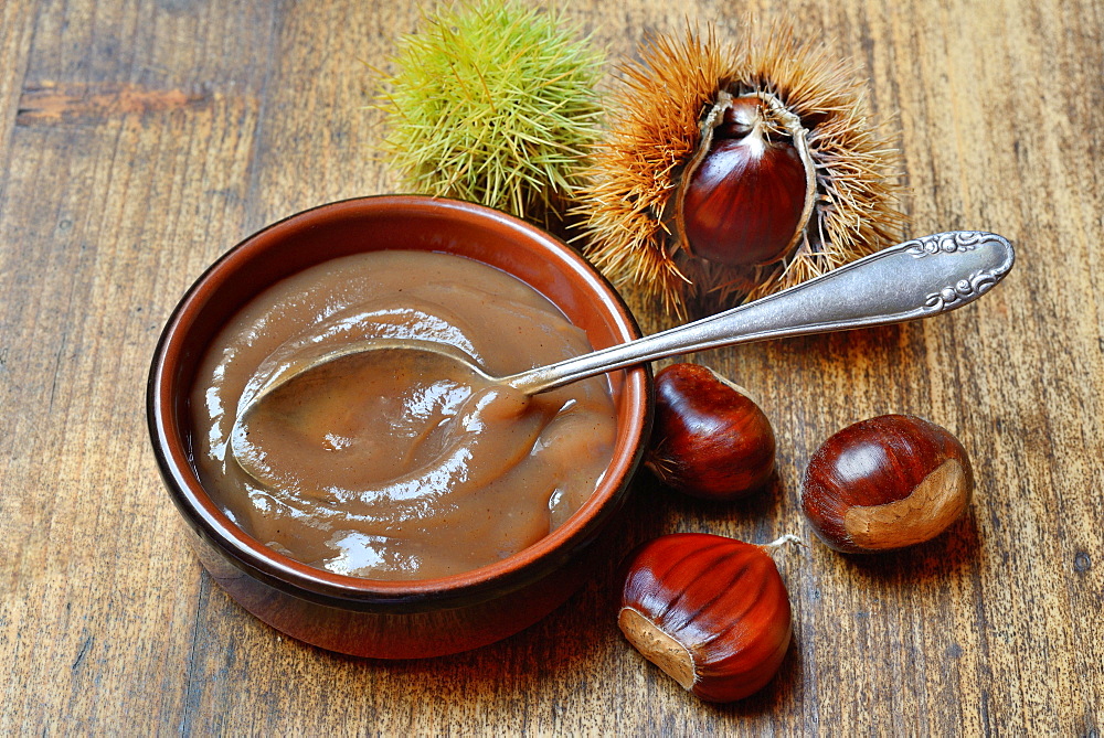 Chestnut cream in shell and sweet chestnuts (Castanea sativa), chestnut