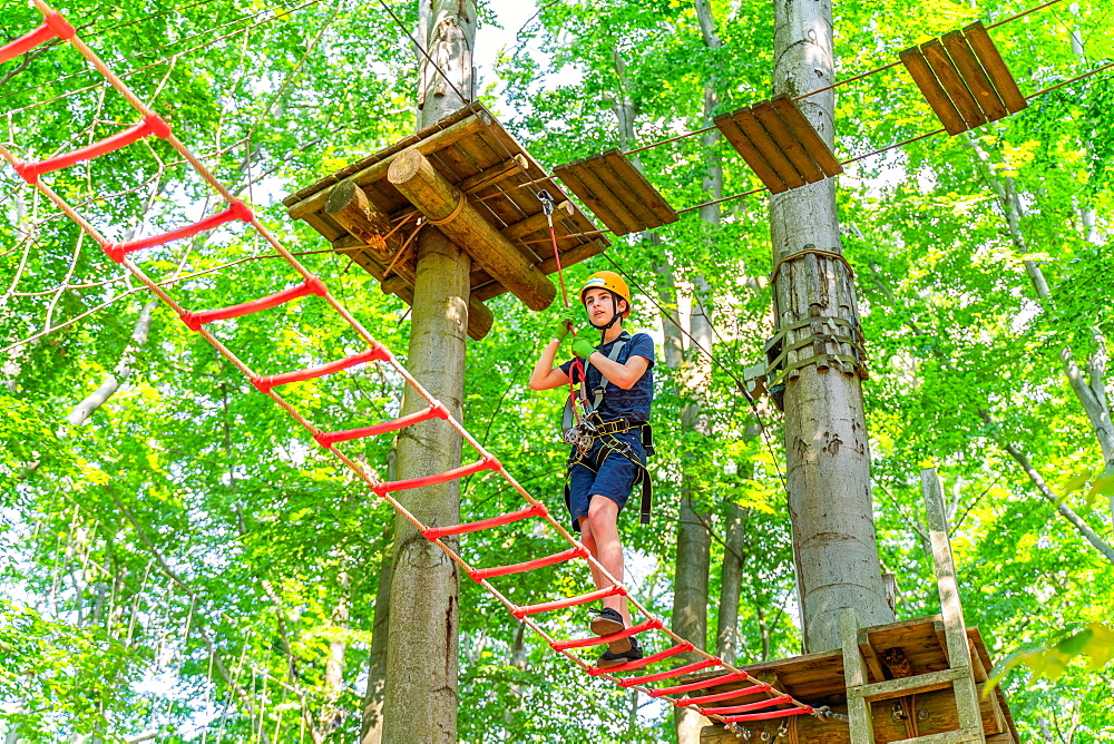 Boy climbing in the climbing forest and high ropes course, Potsdam Adventure Park, Potsdam, Brandenburg, Germany, Europe