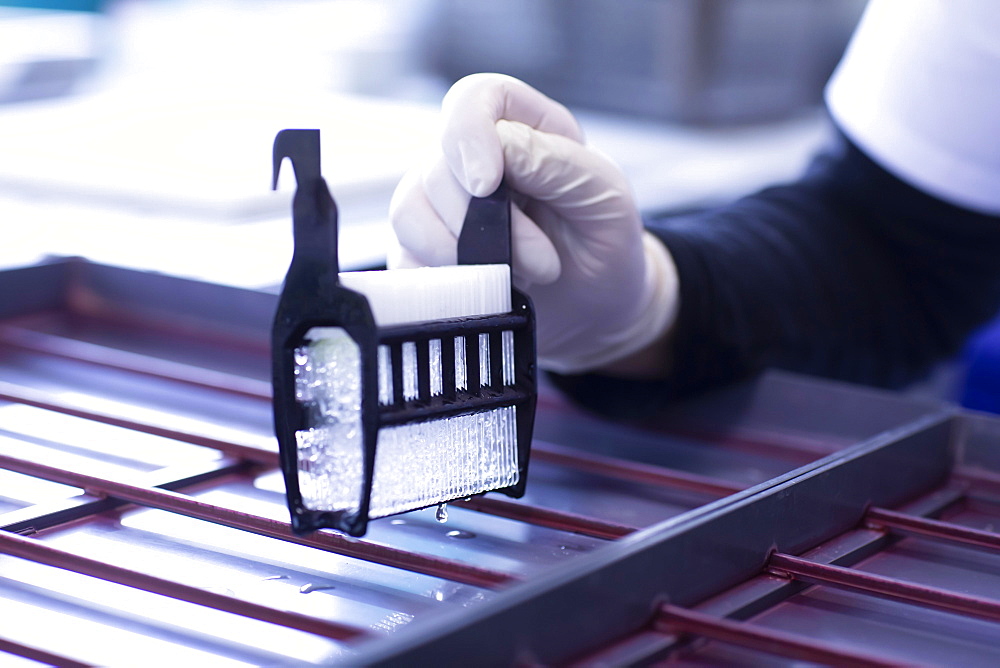 Sample processing with laboratory equipment in a histology laboratory, Freiburg, Baden- Wuerttemberg, Germany, Europe