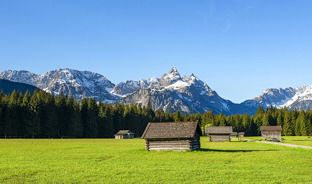 Meadow with hay barns, behind snow-covered mountain peaks in spring, Mieminger Kette with Ehrwalder Sonnenspitze, Ehrwald, Tyrol, Austria, Europe