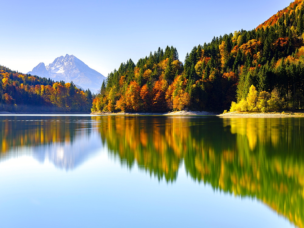 Watzmann and autumn forest reflected in the lake, Wiestal, Hallein, Salzburg, Austria, Europe