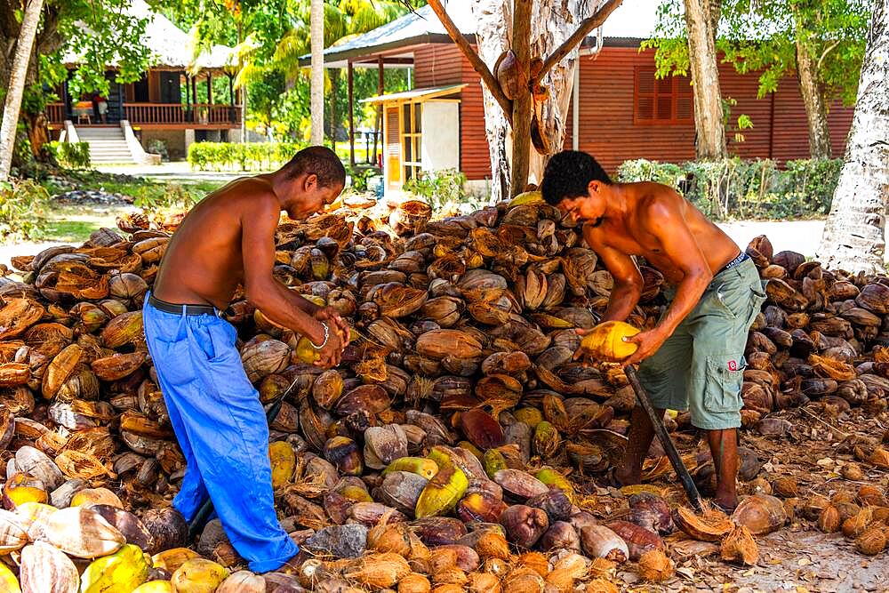 Coproduction, L'Union Estate, Granite Island, La Digue, Seychelles, La Digue, Seychelles, Africa