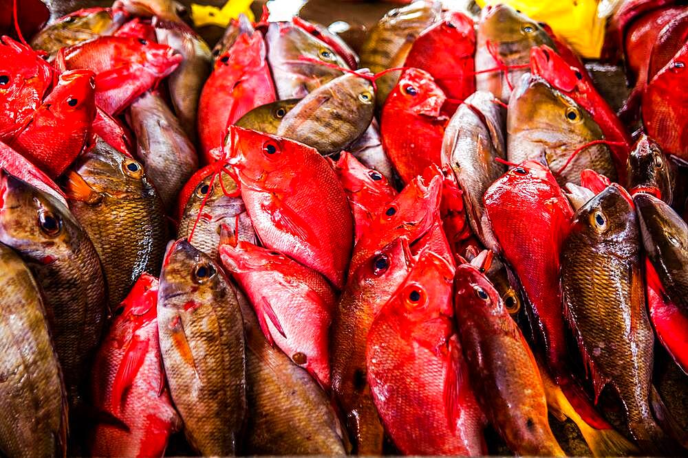 Fish sale at the market hall, Sir Selwyn Selwyn Clarke Market, Victoria, Mahe, Seychelles, Victoria, Mahe, Seychelles, Africa