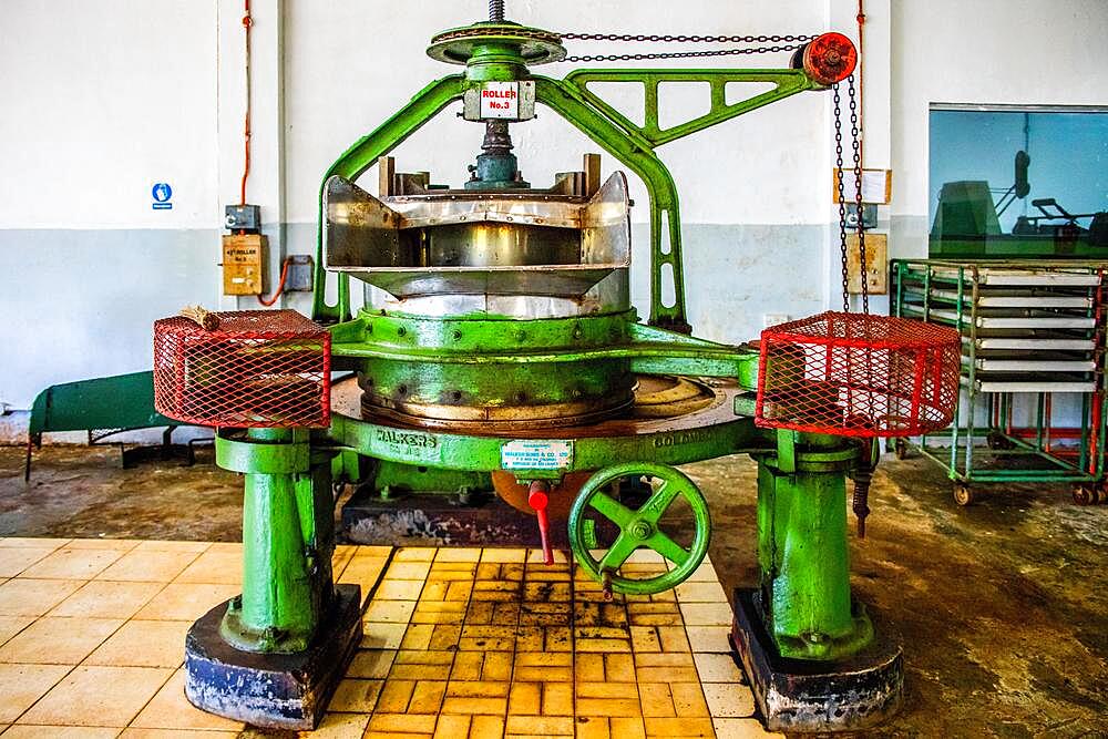 Tea Factory and Tea Museum on Panorama Sans Soucis Road, Mahe, Seychelles, Mahe, Seychelles, Africa