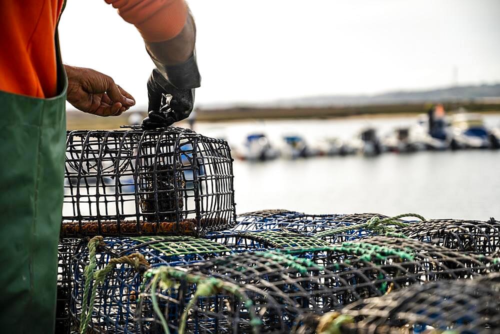 Fisherman puts crab inside octopus traps in Alvor, Algarve, Portugal, Europe