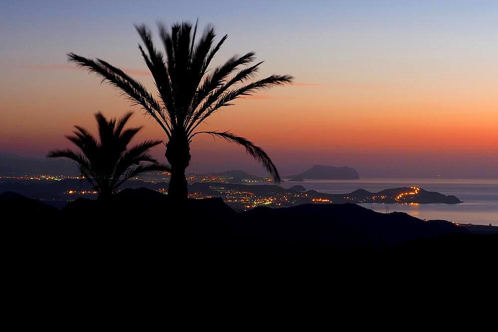 Palm trees at sunrise off coast, sea of lights on coast, night lights, sun rising over sea, dawn on coast, seaside resort, coast off Aguilas, San Juan de los Terreros, Almeria, Andalusia, Iberian Peninsula, Spain, Europe