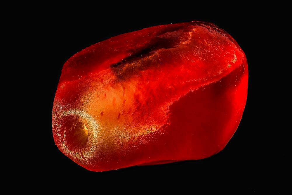 View of a pomegranate seed, macro photo, magnification ABM 3:1, Hesse, Germany, Europe