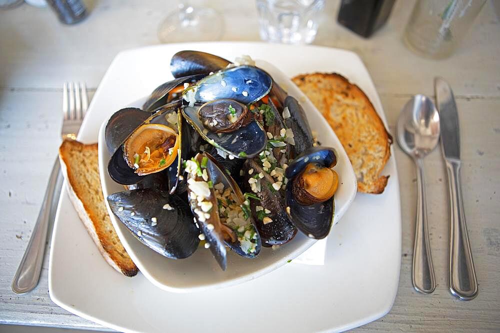 Fresh mussels, Simons Town, Cape Peninsula, South Africa, Africa