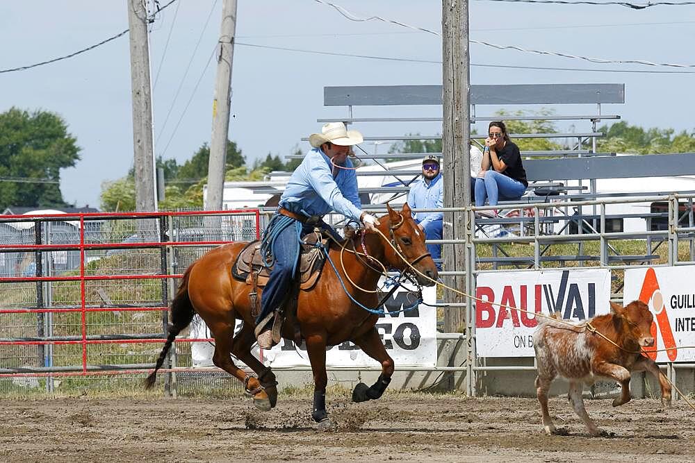 Rodeo competition, rodeo riders, Valleyfield Rodeo, Valleyfield, Province of Quebec, Canada, North America