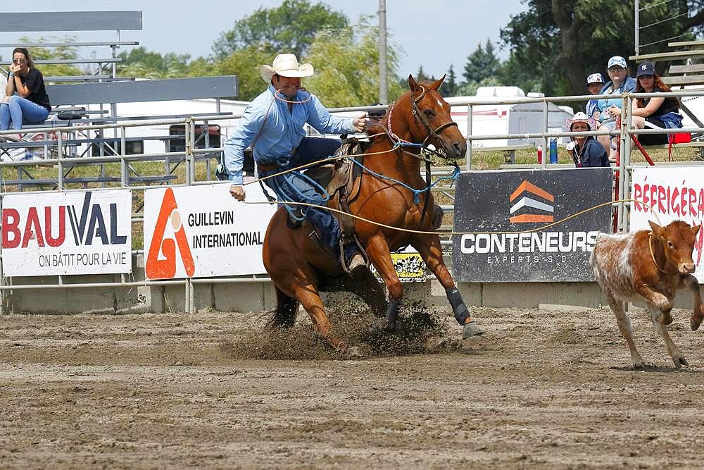 Rodeo competition, rodeo riders, Valleyfield Rodeo, Valleyfield, Province of Quebec, Canada, North America