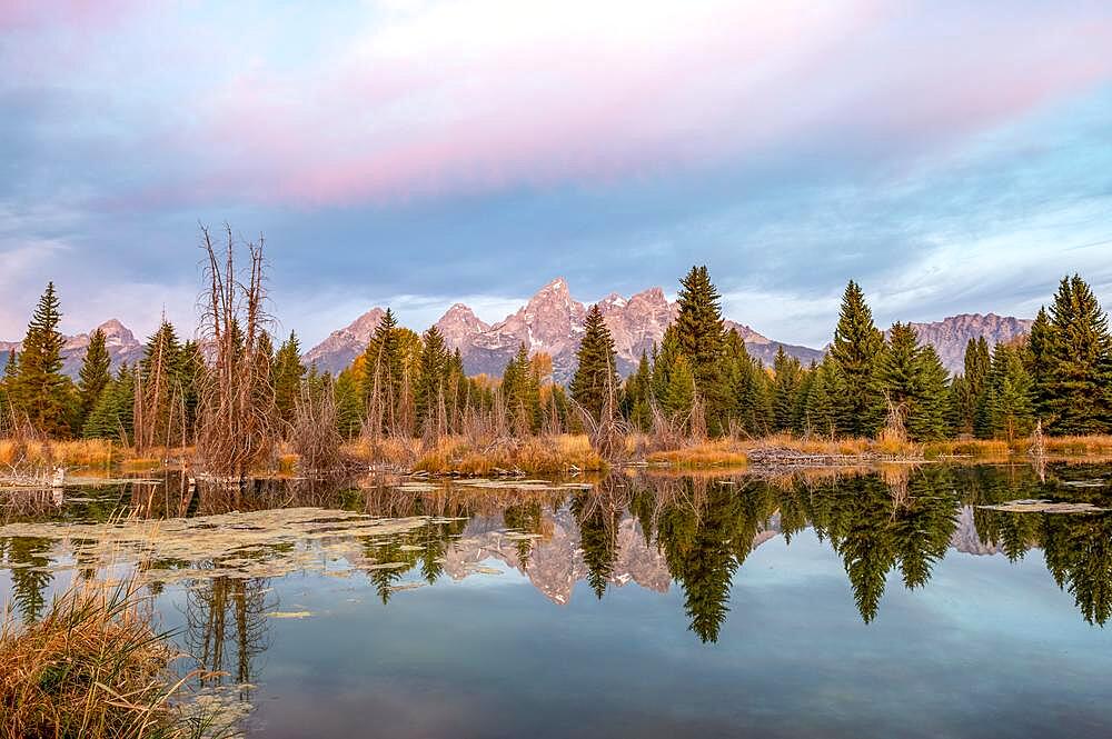 Mountain peaks at dawn, Grand Teton Range mountain range at sunrise, reflection in lake, autumn vegetation, Schwabacher Landing, Grand Teton National Park, Wyoming, USA, North America