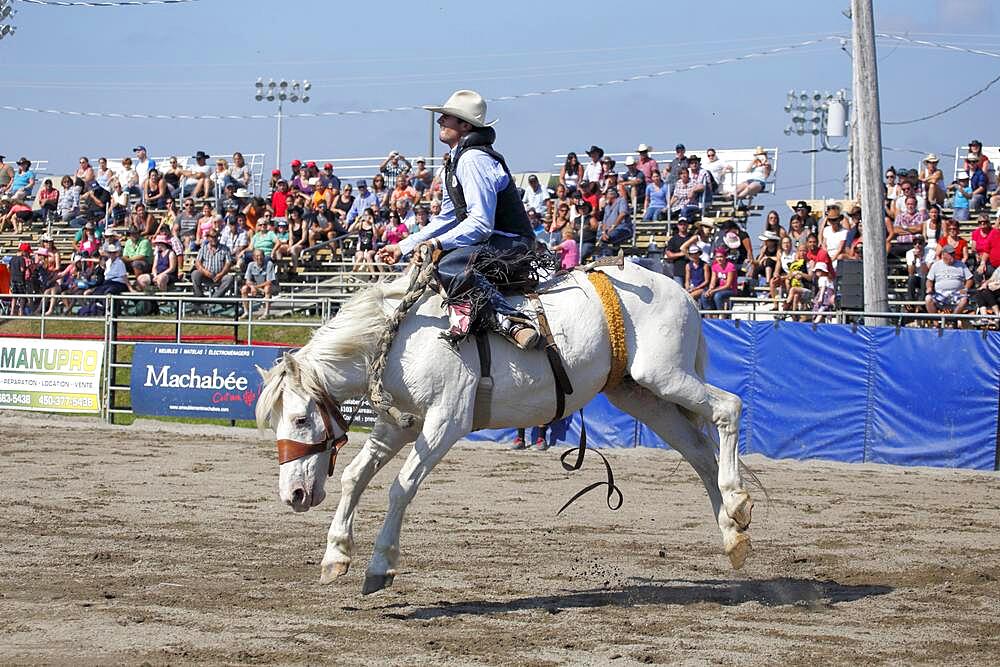 Rodeo competition, rodeo riders, Valleyfield Rodeo, Valleyfield, Province of Quebec, Canada, North America