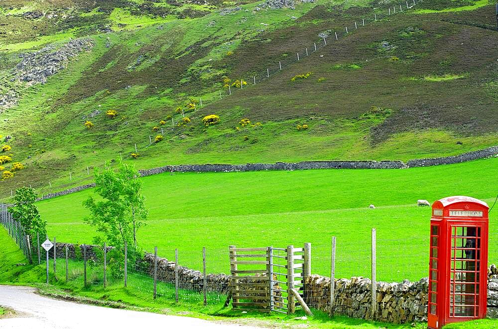 Telephone box in lonely green landscape, meadows and stone walls, Tongue, Highlands, Scotland, Great Britain