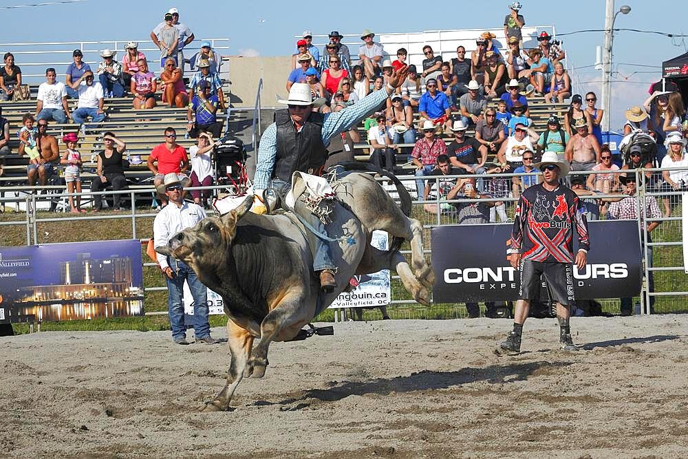 Rodeo competition, bull riders, Valleyfield Rodeo, Valleyfield, Province of Quebec, Canada, North America