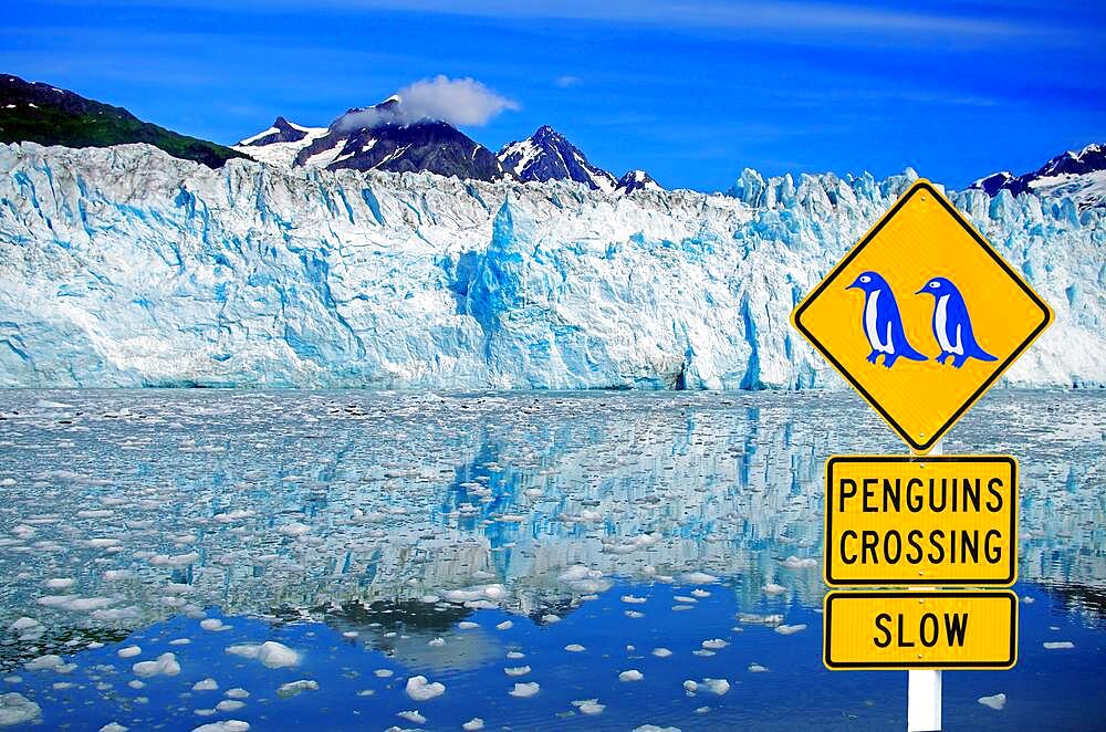 Traffic sign warning of crossing penguins, ice front of a glacier, illustration
