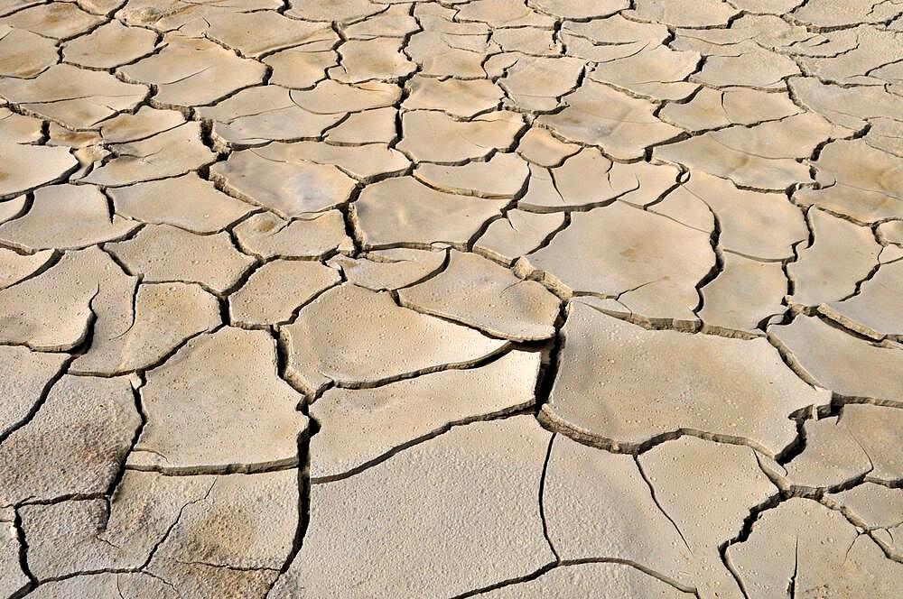 Dried out clay soil with cracked clay slabs