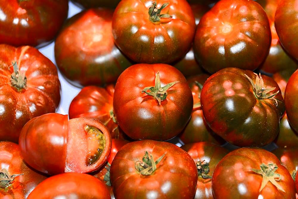 Tomatoes, fruit stall, indoor market, Mercat de la Boqueria, La Rambla, Barcelona, Catalonia, Spain, Europe