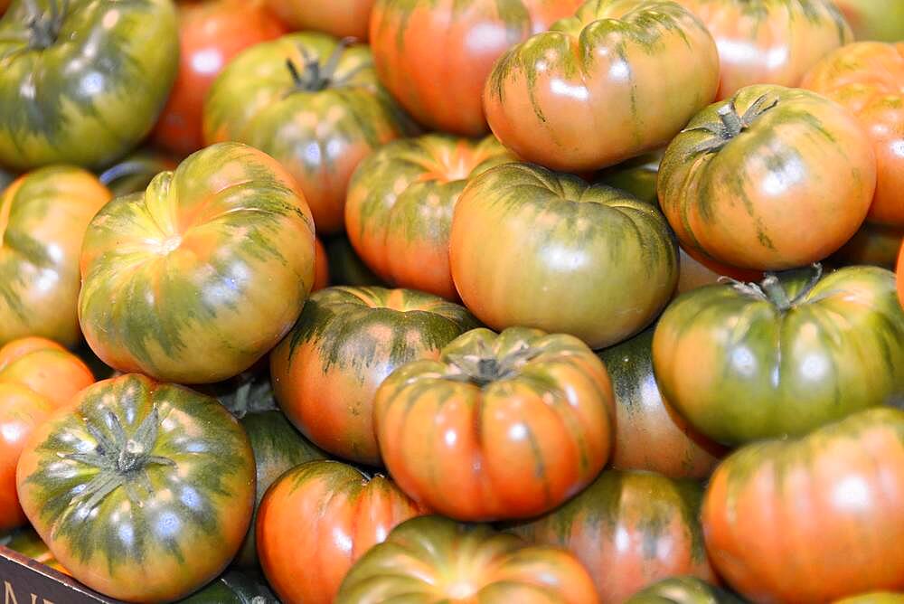 Tomatoes, fruit stall, indoor market, Mercat de la Boqueria, La Rambla, Barcelona, Catalonia, Spain, Europe