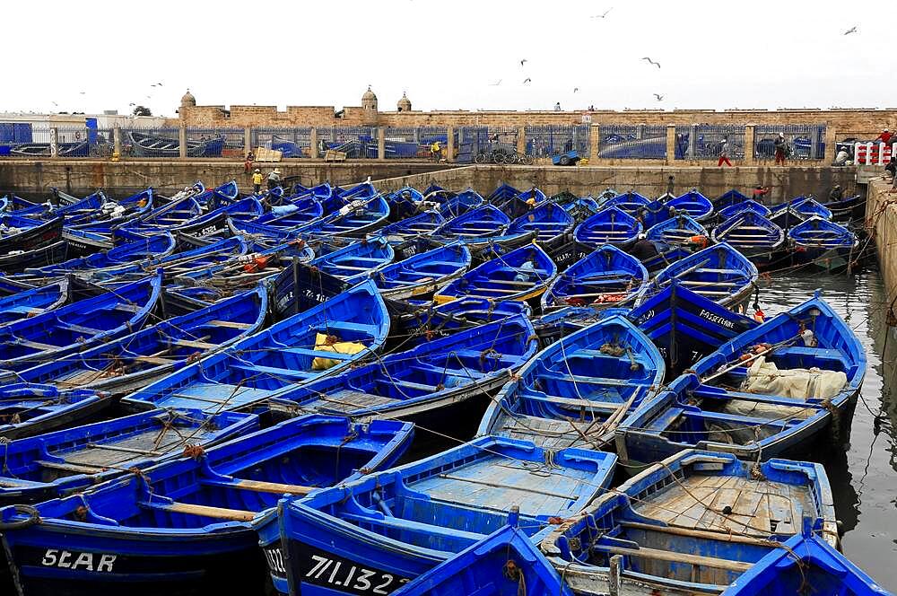 Typical blue fishing boats in the harbour of Essaouira, Morocco, Africa