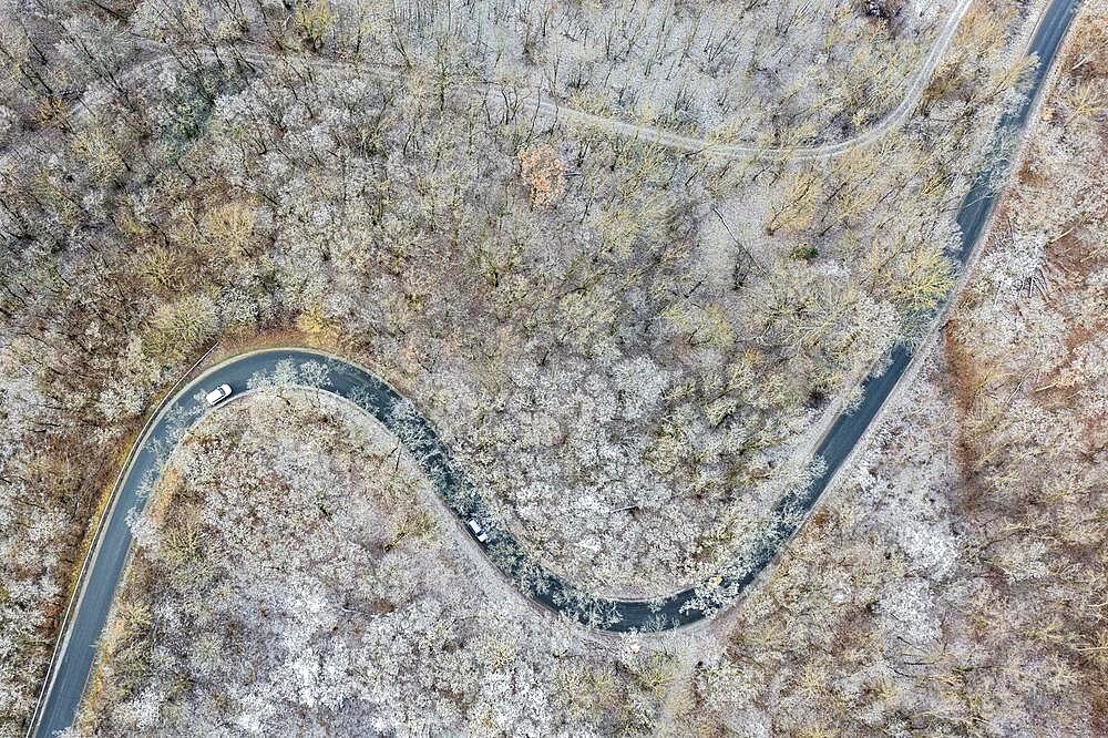 Winter landscape with hoarfrost over forest and road, aerial view, Pulkautal, Weinviertel, Lower Austria, Austria, Europe