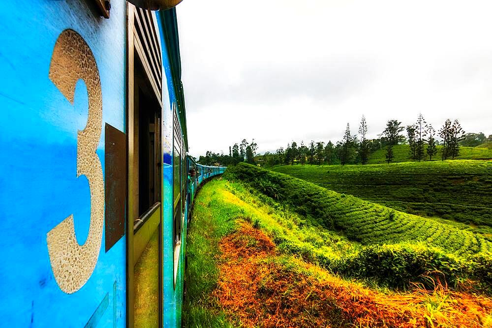 Train ride with the blue train, from Kandy to Ella, highlands and the tea plantations of Sri Lanka, Sri Lanka, Asia