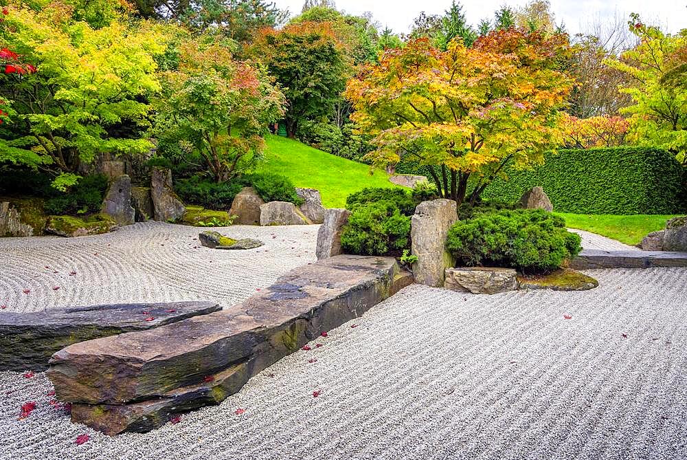 Japanese garden with gravel bed and stone formation, Berlin, Germany, Europe