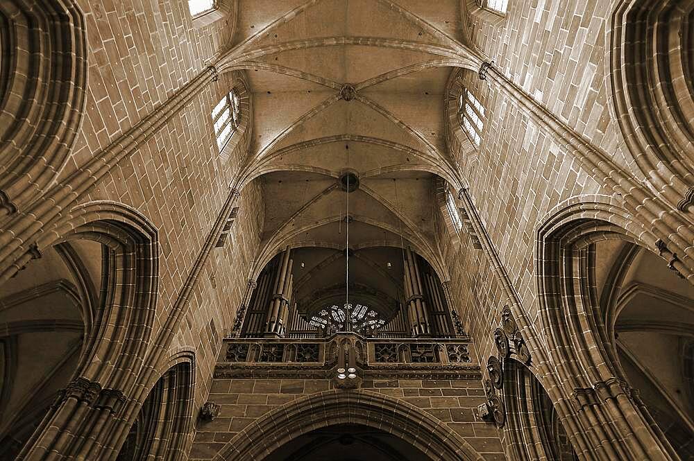 Organ loft with window rosette in the Lorenzkirche, Nuremberg, Middle Franconia, Bavaria, Germany, Europe