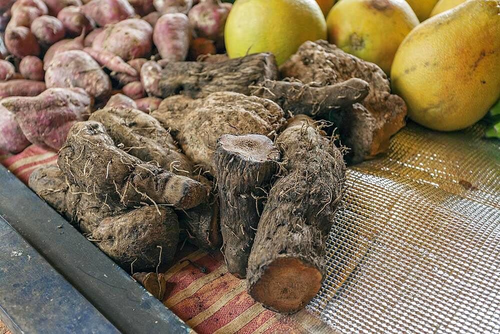 At Sir Selwyn Clarke Market on Market Street, Victoria, Mahe Island, Seychelles, Indian Ocean, Africa