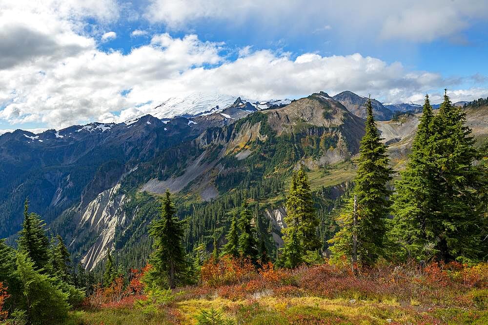 View of Mt. Baker with snow and glacier, in autumn, Mt. Baker-Snoqualmie National Forest, Washington, USA, North America