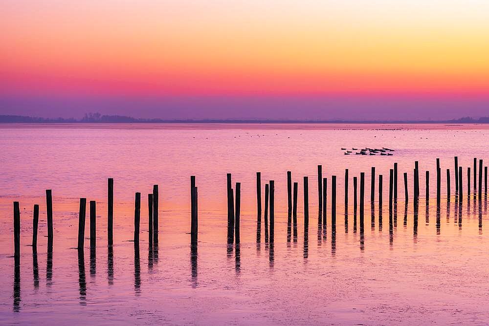 Winter landscape on the shore of Lake Duemmer, sunset, ice rink, silence, Lembruch, Lower Saxony, Germany, Europe