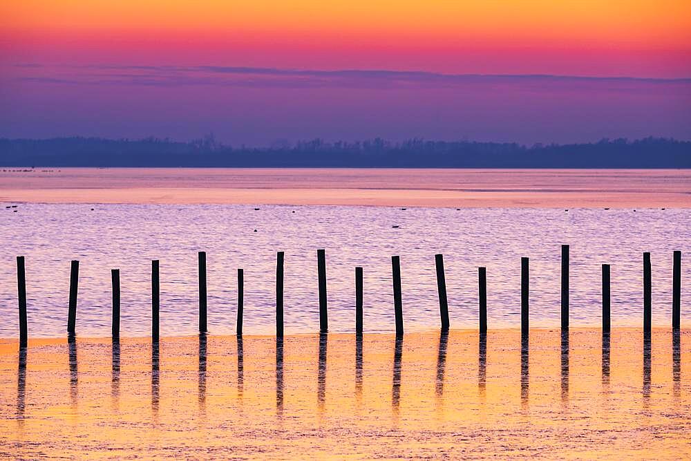 Winter landscape on the shore of Lake Duemmer, sunset, ice rink, silence, Lembruch, Lower Saxony, Germany, Europe