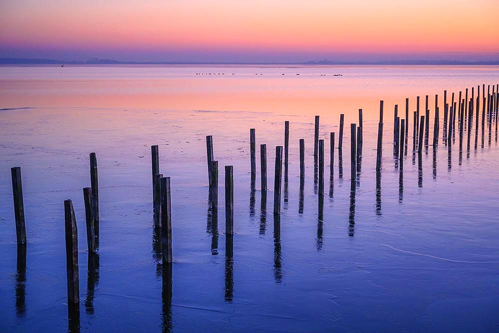 Winter landscape on the shore of Lake Duemmer, sunset, ice rink, silence, Lembruch, Lower Saxony, Germany, Europe