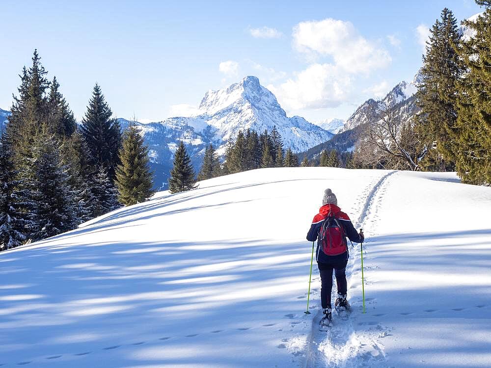 Snowshoe hiker in winter landscape, trail of snowshoes, behind Admonter Reichenstein, on the way to Ebner Alm, Johnsbacher Almenrunde, Johnsbach, Gesaeuse National Park, Styria, Austria, Europe