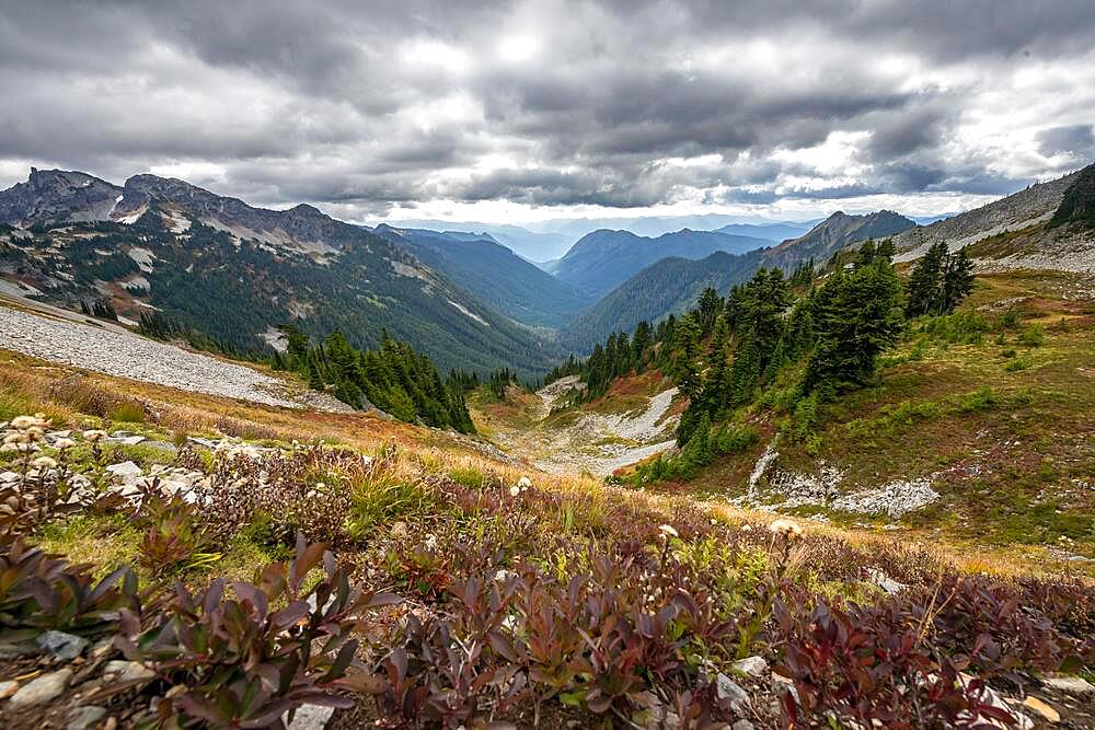 View into the valley of Butter Creek, autumnal mountain landscape, Mount Rainier National Park, Washington, USA, North America