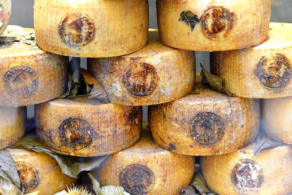 Delicatessen with cheese, Pienza, Val d'Orcia, Orcia Valley, Tuscany, Siena Province, Italy, Europe