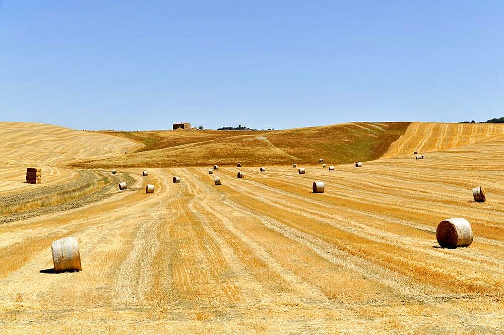 Harvested wheat field, landscape north of Sorano, Tuscany, Italy, Europe