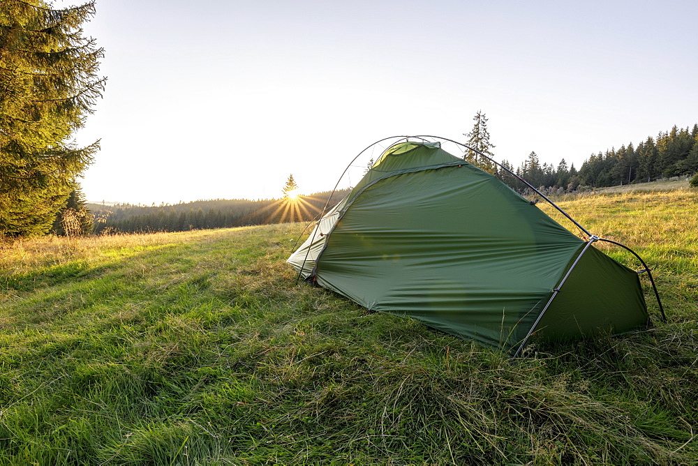 Green tent on a forest meadow in the morning light, Todtnauberg, Black Forest, Baden-Wuerttemberg, Germany, Europe