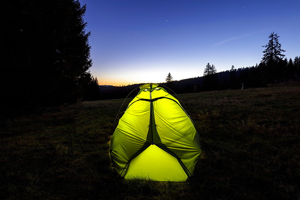 Illuminated green tent at the edge of the forest, starry sky, Todtnauberg, Black Forest, Baden-Wuerttemberg, Germany, Europe