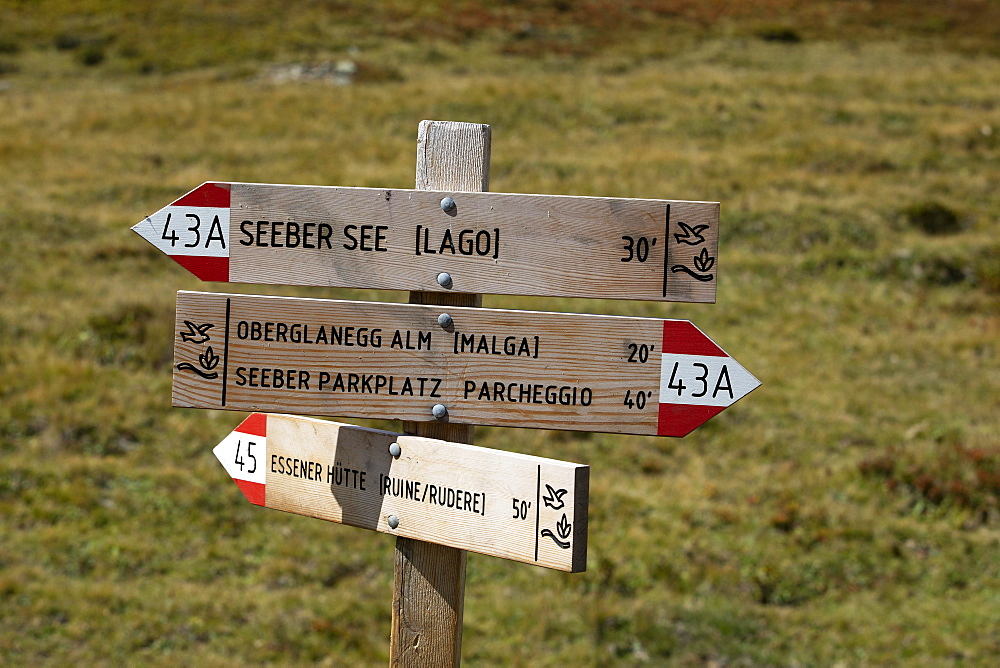 Guide for mountain hikers, Texel Group nature Park, Passeier Valley, Oetztal Alps, South Tyrol, Italy, Europe