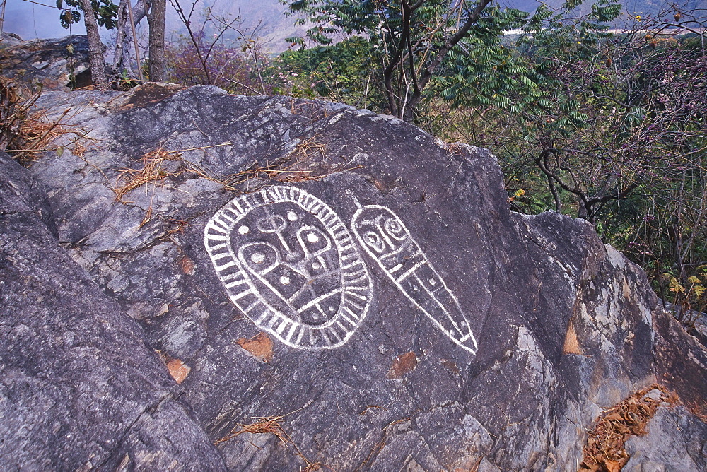 Petroglyphs of Vigirima, also known as Tronconero's Painted Stone, Piedra Pintada archaeological site, San Esteban National park, Carabobo state, Venezuela, South America