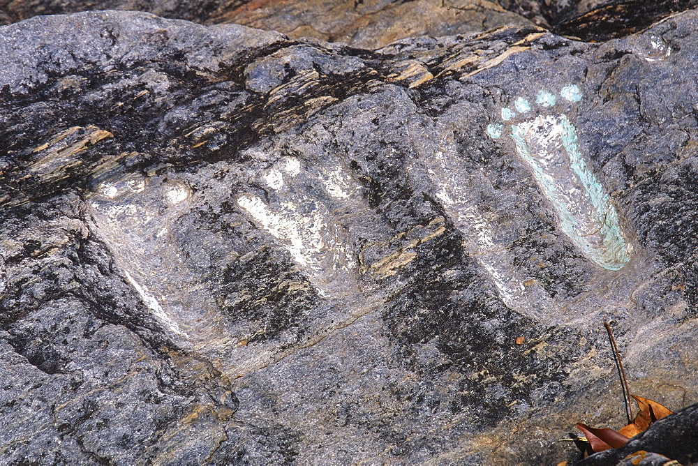 Petroglyphs of Vigirima, also known as Tronconero's Painted Stone, Piedra Pintada archaeological site, San Esteban National park, Carabobo state, Venezuela, South America