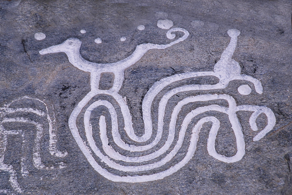 Petroglyphs of Vigirima, also known as Tronconero's Painted Stone, Piedra Pintada archaeological site, San Esteban National park, Carabobo state, Venezuela, South America