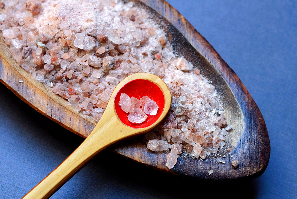 Salt in small bowl with spoon, natural salt, salt crystals, Austria, Europe