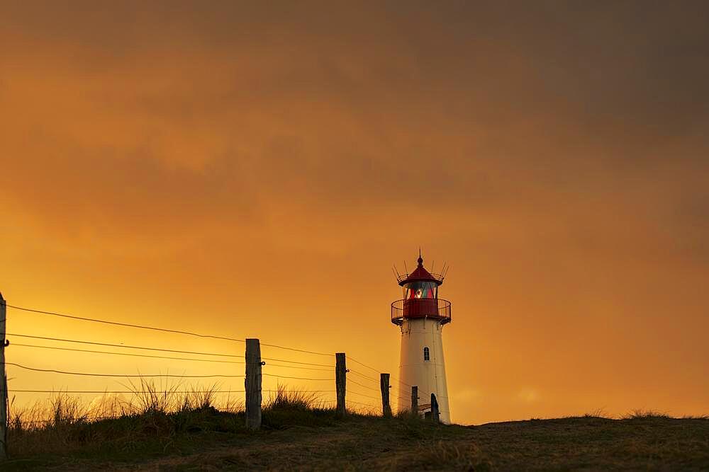 List-ost lighthouse, in dune landscape at golden hour, Ellenbogen, List, Sylt Island, Germany, Europe