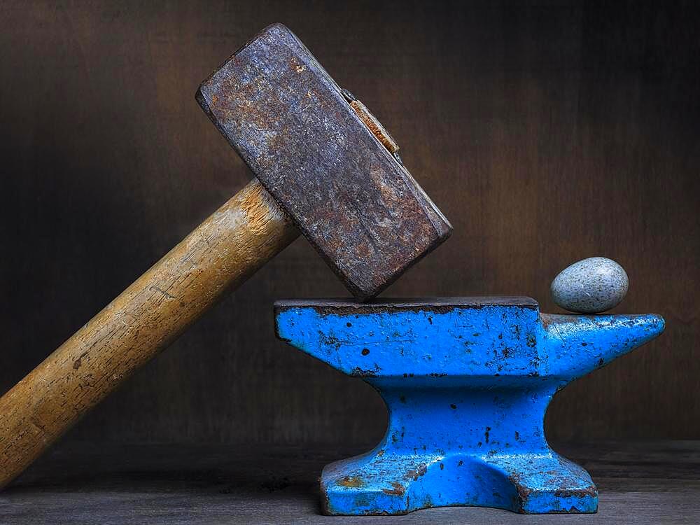 Theme Destroy, Fragile, Still life with hammer, anvil and egg, Studio shot, Symbol photo