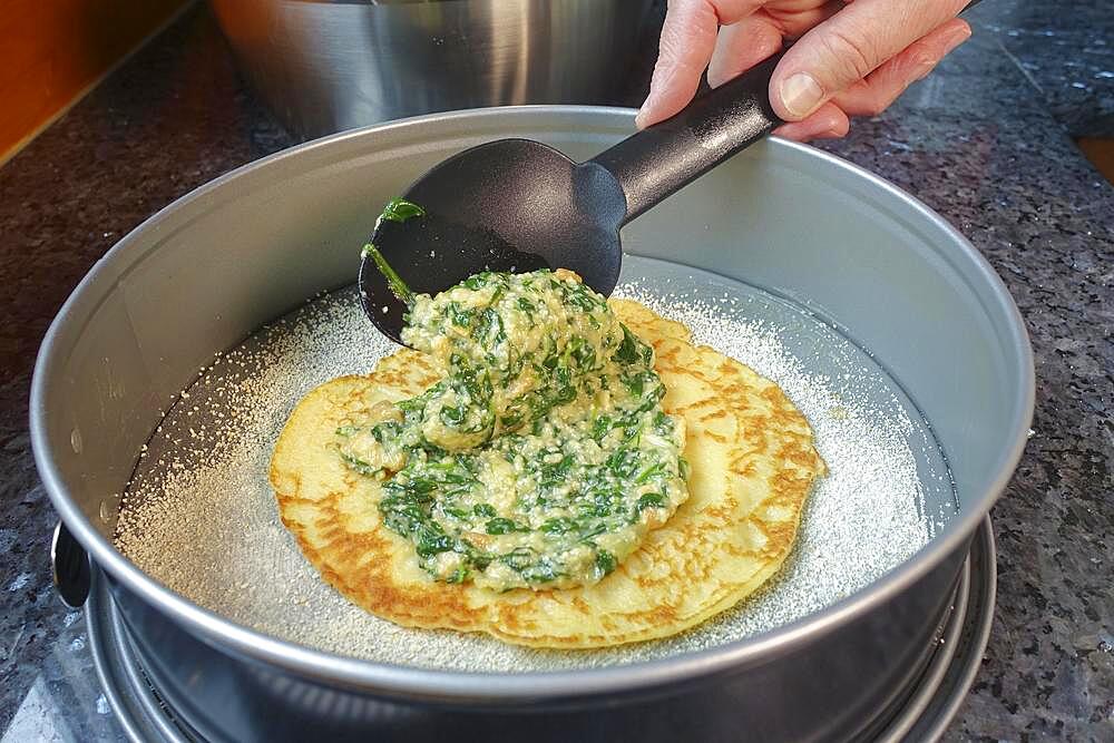 Swabian cuisine, pancake, pancake in the form layer with spinach mixture, springform, cake form, ladle, preparation spinach cake in the manner of the spoon, Swabian speciality, man's hand, Germany, Europe